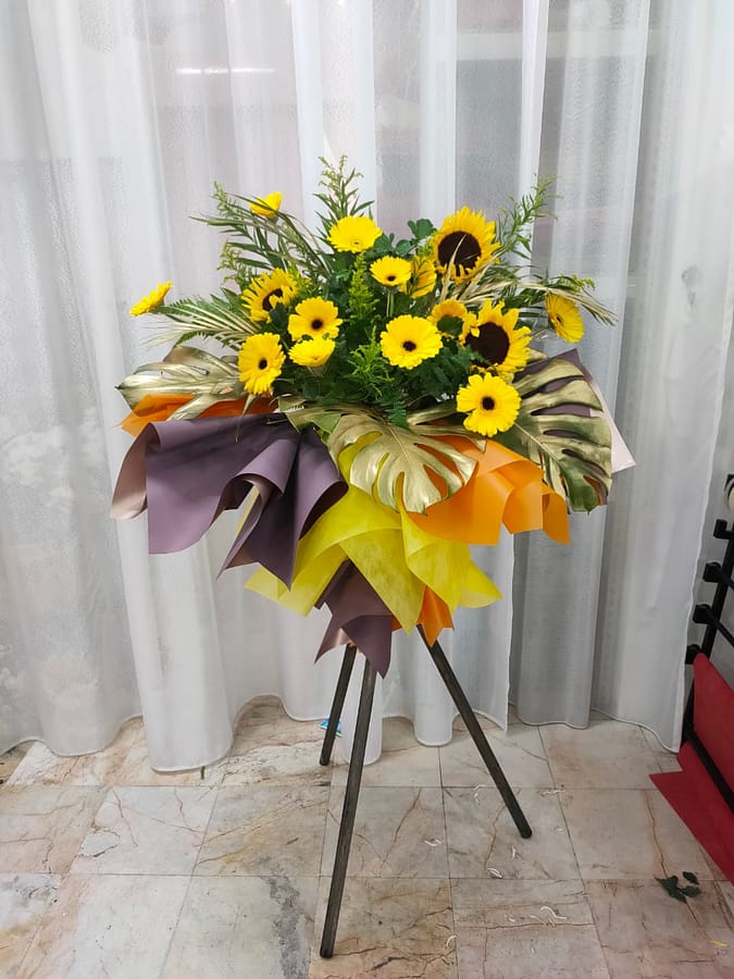 WhatsApp Image 2023-05-02 at 13.53.27